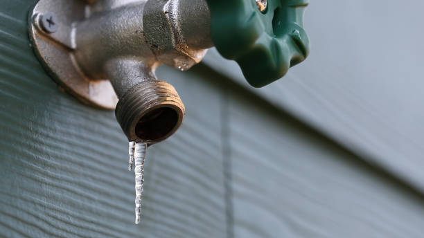 Best Sprinkler Systems  in Kingsbury, NV